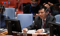 越南呼吁加强对话和建立互信，为叙利亚找到和平解决方案