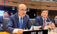 Le Vietnam soutient l’usage pacifique du nucléaire