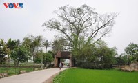Memperingati 15 Tahun Desa Kuno Duong Lam Mendapat Pengakuan sebagai Situs Peninggalan Sejarah Nasional