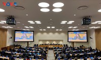 Der globale Rahmen für das Munitionsmanagement muss mit der UN-Charta im Einklang stehen