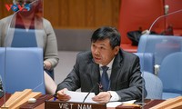 越南对维和行动的过渡进程表示赞赏