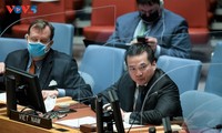 越南高度赞赏联合国特派团在维护阿布耶伊争议地区安全方面的重要作用
