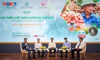 Vietnamese lychee introduced to the world market