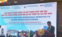 ベトナムにおける自然災害リスクの予防と軽減のための水文気象情報の活用