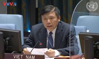 越南呼吁促进恢复巴勒斯坦问题谈判