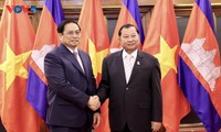 越南政府总理范明政会见柬埔寨参议院主席赛冲  ​