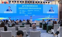 政府副总理陈红河：越南愿与其他国家一起推进绿色转型