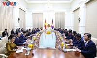 国家主席苏林与柬埔寨首相洪玛奈举行会谈