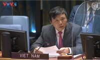 Việt Nam ủng hộ các nỗ lực hướng tới hòa bình và phát triển tại Somali