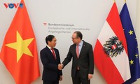 Сделать вьетнамско-австрийские отношения более действенными и эффективными