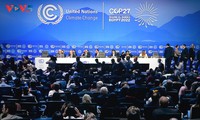 Открылась 27-я Конференция ООН по изменению климата (COP27)