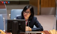 La situación en Yemen y la postura de Vietnam en el Consejo de Seguridad de la ONU