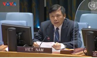 เวียดนามเรียกร้องให้พยายามมากขึ้นเพื่อปกป้องประชาชนผู้บริสุทธิ์ในซูดาน