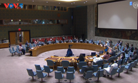 UNSC meets on Sudan, Somalia, Mali, Golan Heights