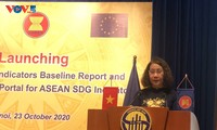 Phát triển Hệ thống thông tin thống kê đồng bộ trong ASEAN