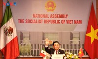 Top legislators of Vietnam, Mexico hold online talks