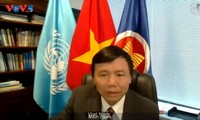  Việt Nam kêu gọi các bên tại Haiti đối thoại hướng tới giải pháp toàn diện