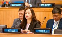 Việt Nam nhấn mạnh khuôn khổ toàn cầu về quản lý đạn dược phải phù hợp với các nguyên tắc cơ bản của luật pháp quốc tế v