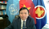 Việt Nam kêu gọi giải quyết nguyên nhân gốc rễ tình trạng bạo lực tại Darfur, Sudan
