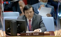 Việt Nam kêu gọi các bên ở Lebanon kiềm chế, không làm phức tạp thêm tình hình