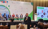 Việt Nam đẩy mạnh phát triển năng lượng tái tạo