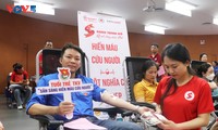 Quang Ninh recibe más de 800 unidades de sangre