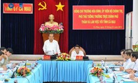 Вице-премьер Чыонг Хоа Бинь провел рабочую встречу с руководством провинции Камау
