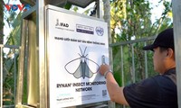 Hệ thống giám sát côn trùng thông minh độc quyền của Việt Nam vào thị trường Nhật