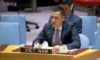 Việt Nam khẳng định hoà bình là điều kiện tiên quyết để phát triển