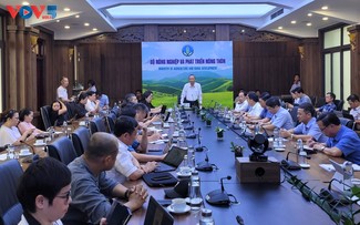 Agriculture-forestry-fishery export value likely to achieve 54 billion USD in 2024 