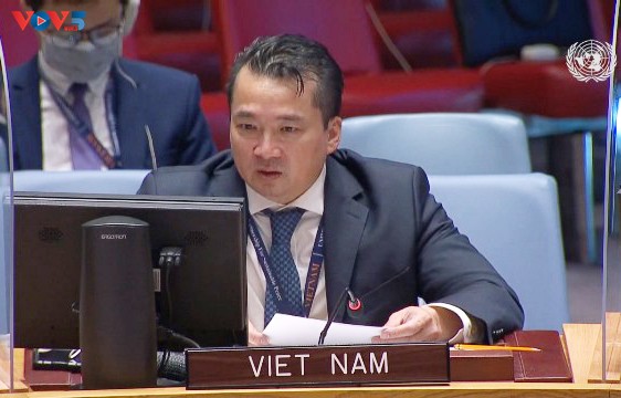 越南支持刚果民主共和国和解并结束暴力