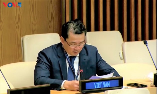 越南呼吁国际社会增加对刚果(金)的人道主义援助