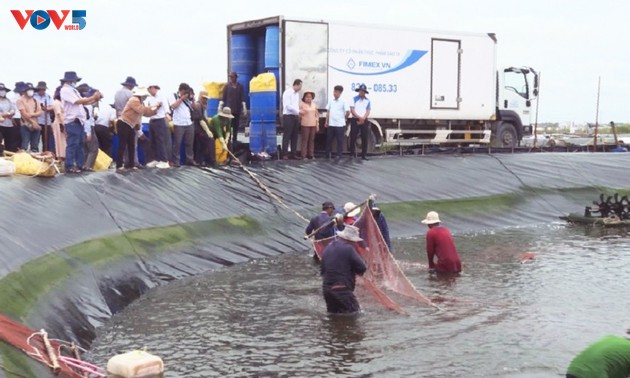 Maßnahmen zur Verbesserung der Qualität der vietnamesischen Fischerei-Produkte