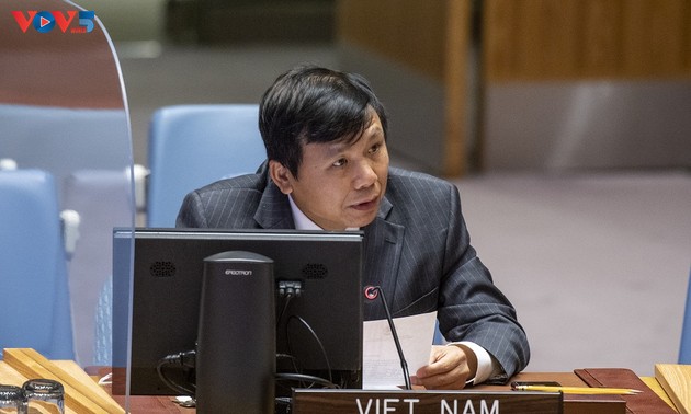 Вьетнам призвал найти всесторонний подход к преодолению вызовов в Мали