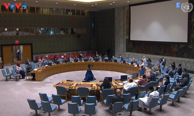 联合国安理会就戈兰高地形势和马里问题召开会议