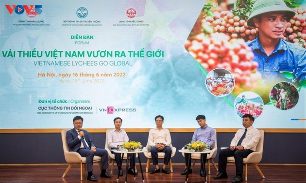 Vietnamese lychee introduced to the world market