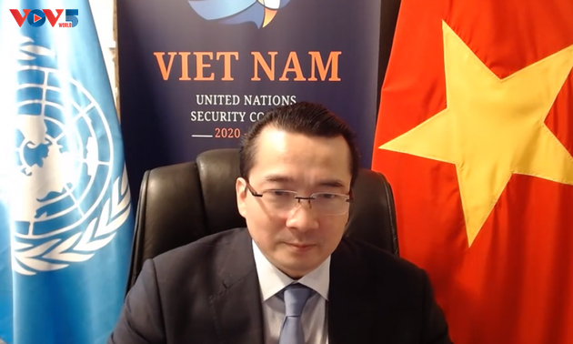 越南主持召开联合国安理会南苏丹问题委员会视频会议