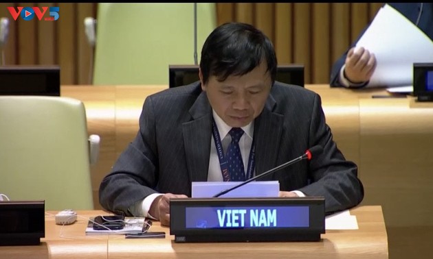 越南支持对伊斯兰国罪行进行调查并追究责任