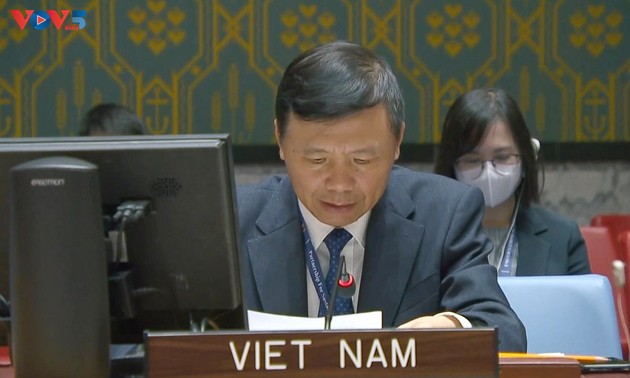 越南驻联合国大使强调新技术在维和领域的作用