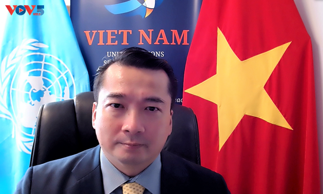 Вьетнам: незаконная торговля стрелковым оружием и легкими вооружениями наносит ущерб международному миру и безопасности.
