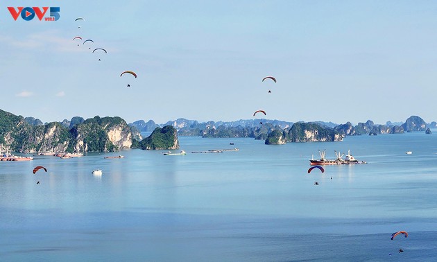 Contemplar belleza de la bahía de Ha Long en parapentes