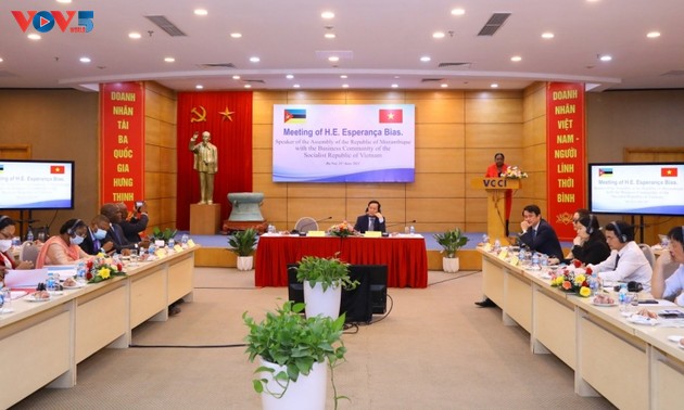 Vietnam y Mozambique promueven cooperación en inversión