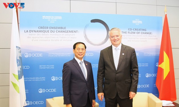 OECD schätzt die Rolle Vietnams als Ko-Vorsitzender des Regionalprogramms für Südostasien 