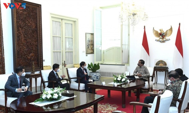 越南希望发展与印度尼西亚的战略伙伴关系