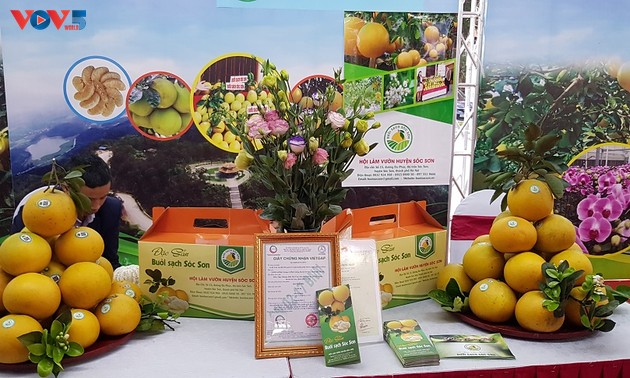 Hanói lidera el país en la construcción de cadenas de valor de productos agrícolas