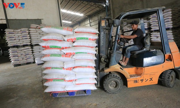 Việt Nam là nước nhập khẩu thóc, gạo lớn nhất của Campuchia