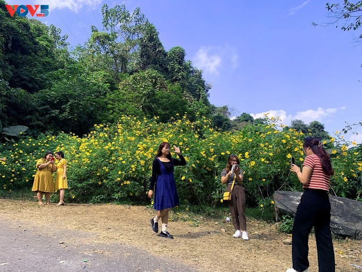 Le tournesol mexicain en pleine floraison au parc national de Ba Vi - ảnh 15