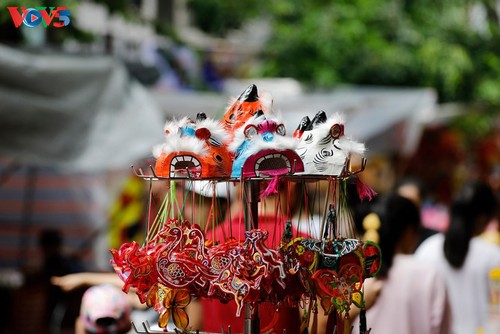 Un paseo por la calle de Hang Ma durante el Festival del Medio Otoño - ảnh 6