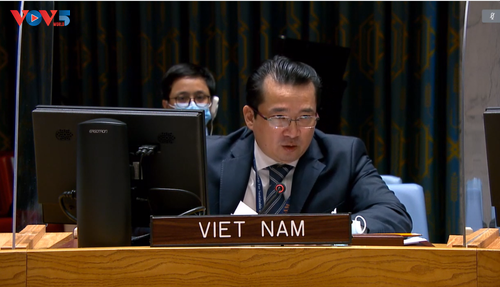 Vietnam pide paz y estabilidad en los Altos del Golán y Malí - ảnh 1