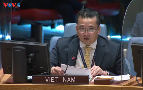 Vietnam llama a resolver desafíos de seguridad en República Centroafricana y Siria - ảnh 1